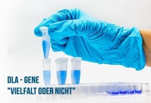 DLA-Genetische Vielfalt oder nicht