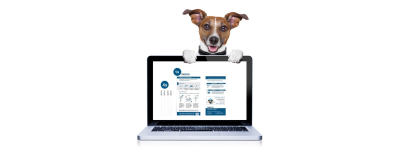 DNA Test Hund - Proben Aktivierung