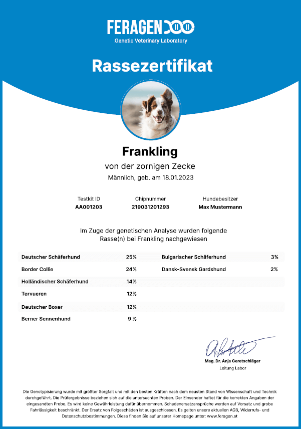 DNA Test Hund - die Rassebestimmung - Musterzertifikat zur Vorlage bei Ämtern und Behörden