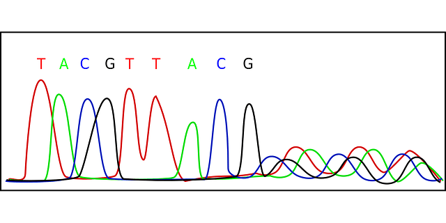 Wissenschaft einfach erklärt: Das Elektropherogramm (DNA)