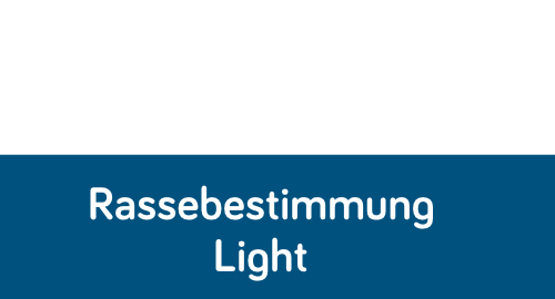 light_tp_b