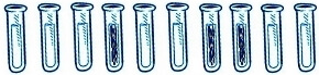 DNA Profilanalyse dank moderner Methoden